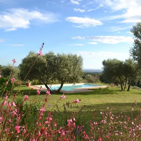 Nido Dell'upupa * Montefiascone